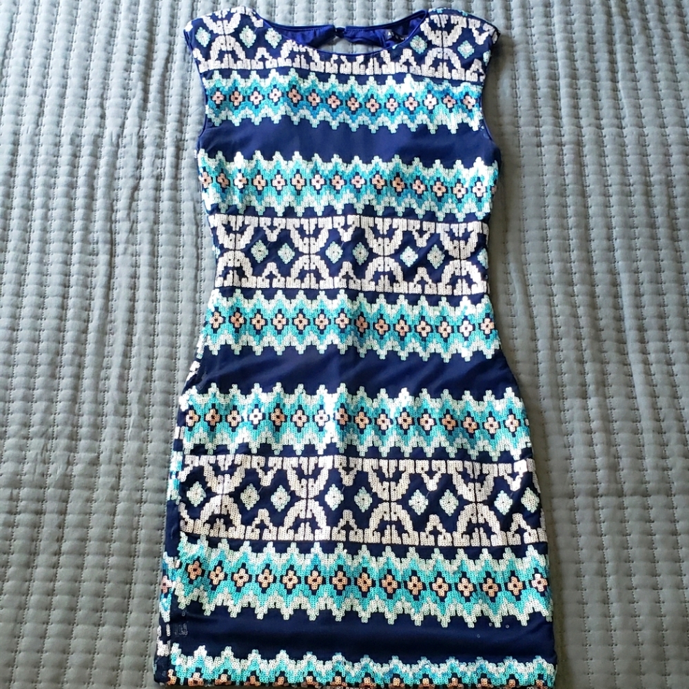 Fitted Sequin Dress